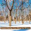 1 Roll 300/500CM Burlap Tree Protector Wrap Winter Cold Weather Outdoor Garden Tree Trunk Frost Protection Cover Natural Jute Anti-freeze Plants
