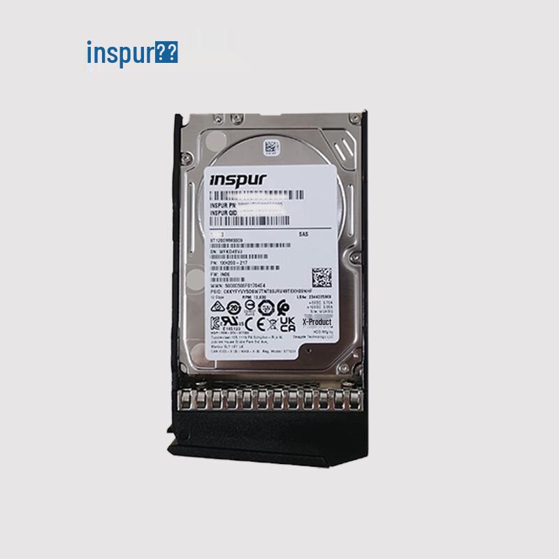 Inspur Enterprise Server Storage Drives