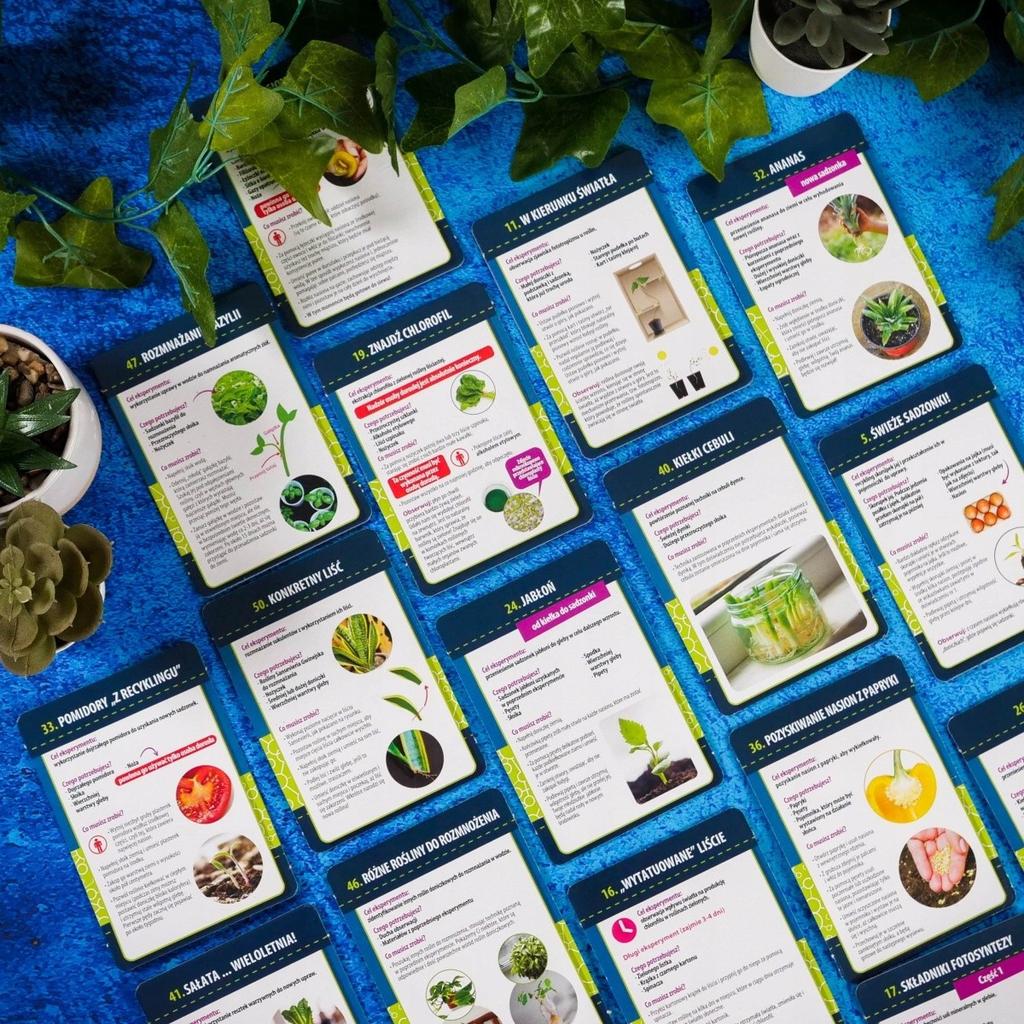 Lisciani i"m genius nauka w domu botanika różnych typów roślin i nasion
