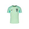 Футболка Dri-Fit Strike Brazil National Team Soccer Training Series с логотипом и полосатым вырезом под горло, короткими рукавами, мужская, светло-зеленая DH6441-390