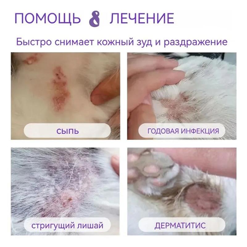 Pet Skin Disease Spray, Treat Itching, Protect Barrier, Natural Artemisia, 100ml