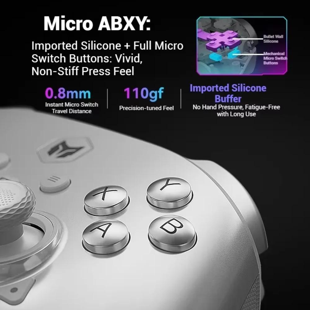 BIGBIGWON Rainbow3 Wireless Game Controllers NearLink 2.4G Hall Joystick Micro Motion Button RGB Gamepad for PC/PS/Steam Gifts
