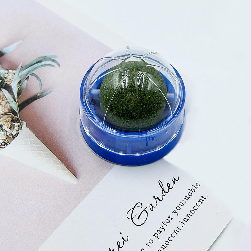 Кошачья мята Мататаби Игрушка-дразнилка и Жевательная палочка для игры котенка