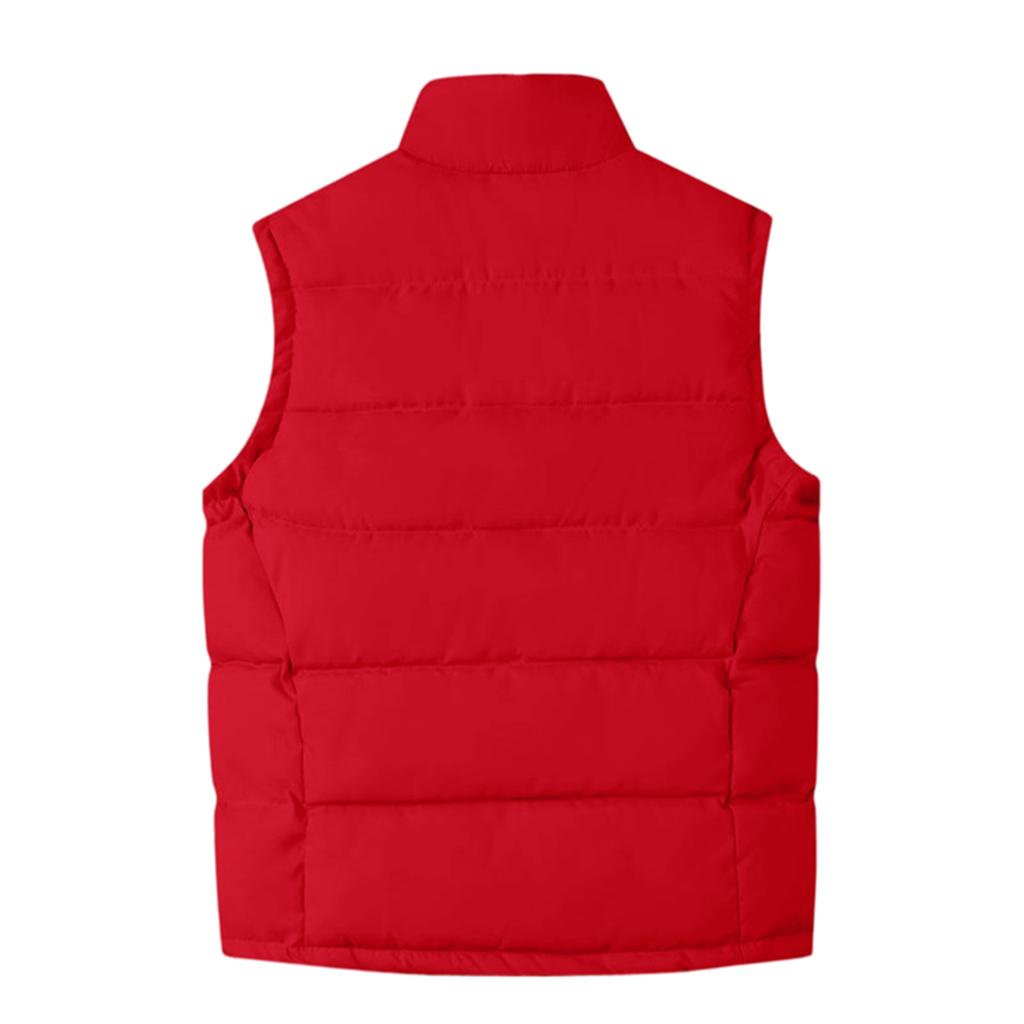 Женский зимний модный универсальный утолщенный рабочий жилет на хлопковой подкладке