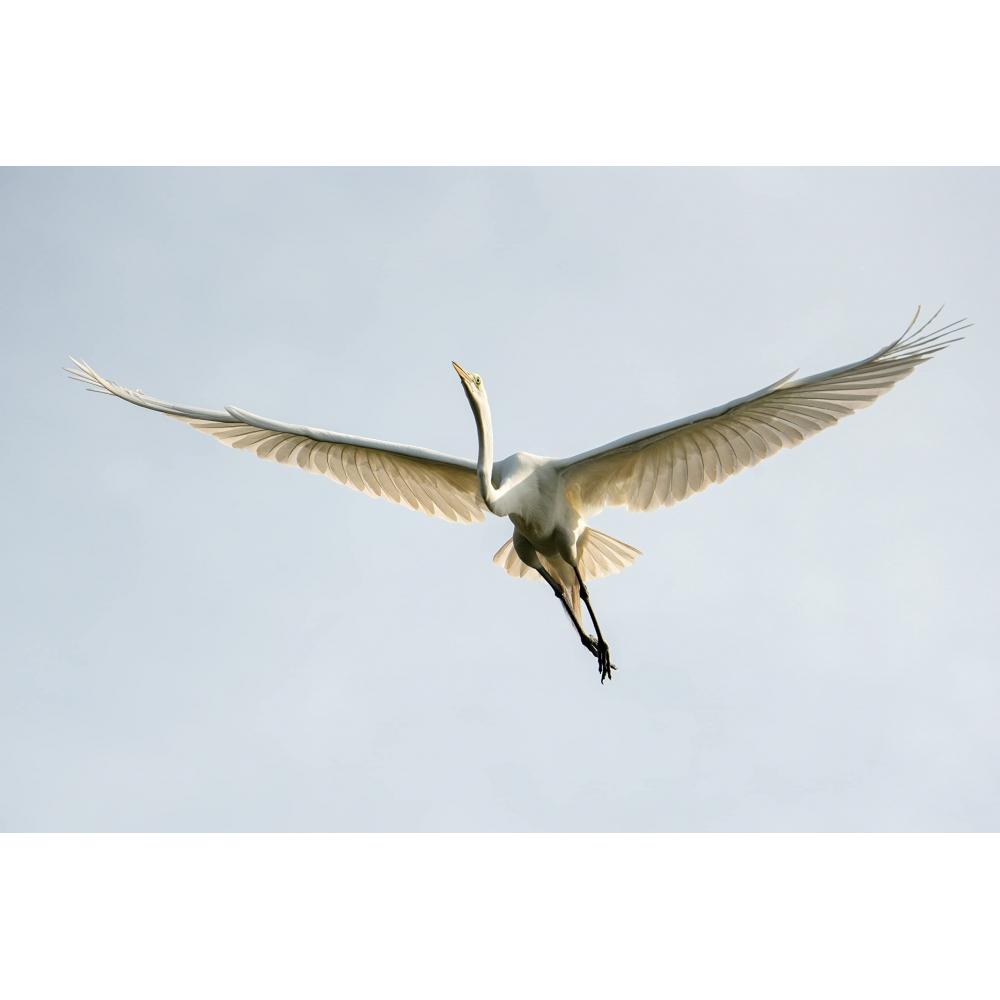 Tamron 50-400mm F4.5-6.3 Di III VC VXD for Sony E Mount [A067]