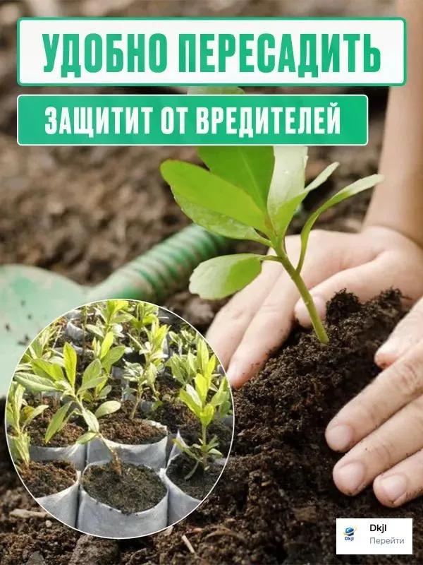 Многоразовый квадратный колпак защищает растения от заморозков и повреждений птицами