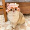 Cute Pet Hat Cat Hat Cute Flower Kittens Knitted Hat Handmade Photo Shoot Props  Pet