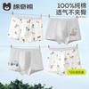 100% Cotton Boys' Underwear