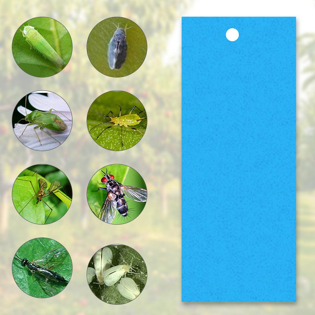 Липкие ловушки для летающих растительных насекомых, грибных комариков, 20 шт., 20*25 см, двусторонние ловушки для летающих насекомых, можно разрезать