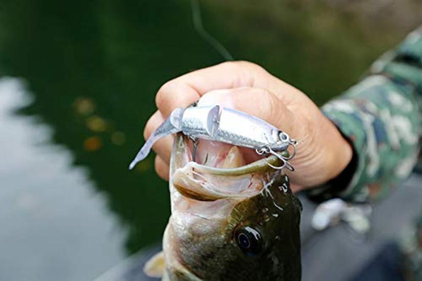 Shimano Bantam Bt Bait 99SS Freshwater Plug Kyorinugui Freshwater (SHIMANO) ZR-599T Lure, 015, Bass, Lakes, Dams, Ponds, Rivers,