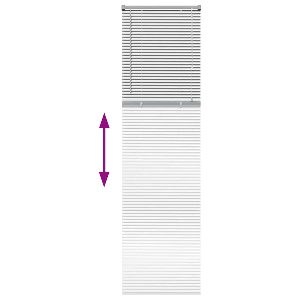 Aluminum Venetian Blinds Silver 220 x 55 cm