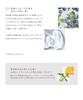 John Masters Organics Очищающее средство N G&N