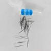 100Pcs Good Flexibility Entomology Education Needle Insect Dissections Supplies Specimen Pins Pin