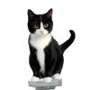 Car Dashboard Decorations Shaking Cats Bobblehead Car Decors Lovely Car Interior Ornaments for Office/Table Decors