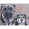 Полный 5D Diy Алмазная картина Две серые собаки Вышивка крестом Домашний декор Подарок ручной работы