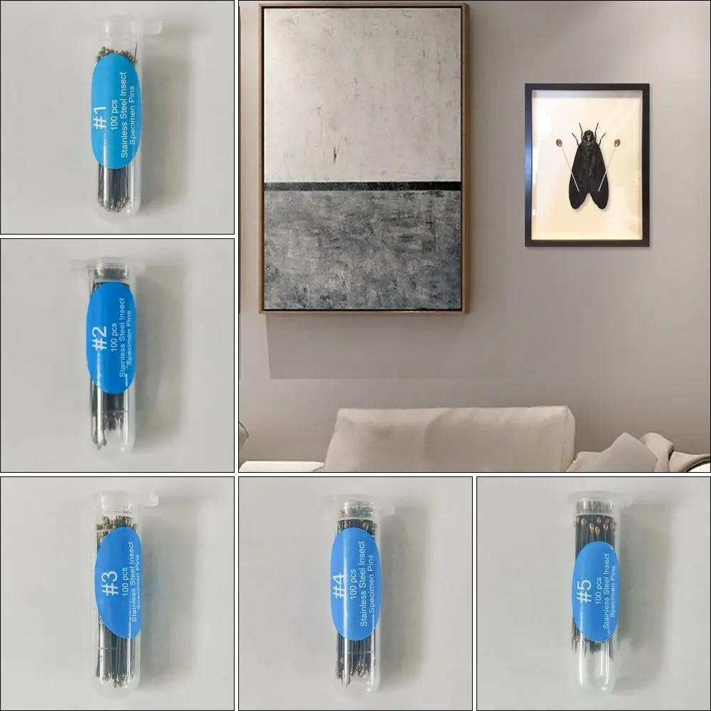 100Pcs Good Flexibility Lab Accessories Entomology High Hardness Insect Dissections Supplies Needle Specimen Pins Pin