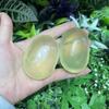 Natural Healing Crystal Citrine Quartz Palm Worry Stone Chakra Reiki Balancing