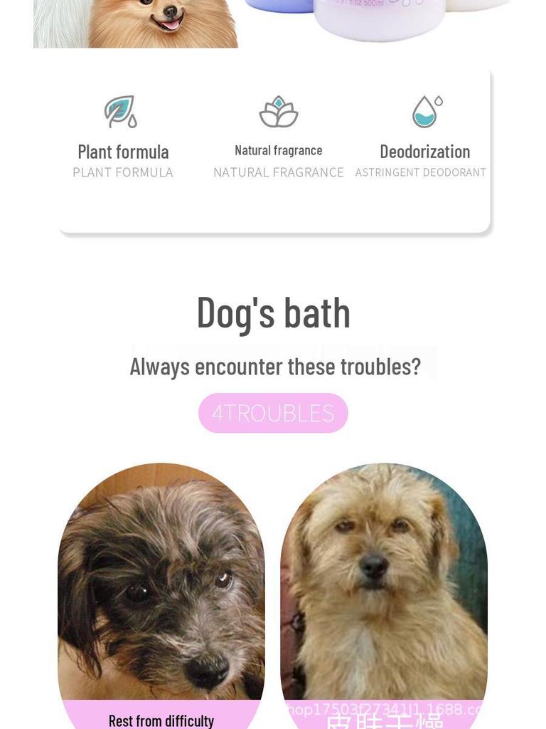 Ferret Bath Shampoo: Gentle Daily Pet Gel for Dogs & Cats, Long-Lasting Fragrance, Hair Care