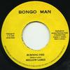 7inch Record MELLOW LARKS - Burning Fire (Original Stamper) DSR9957 Studio One 2014 Jamaica Reggae, Ska & Dub
