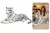 Large Plush White Tiger 85 Cuddly Toy Mascot Gift