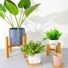 Wood Planter Pot Trays Flower Pot Rack Strong Free Standing Bonsai Holder