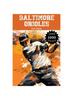 Книга Baltimore Orioles Fun Facts