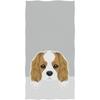 Naanle Lovely Easter Rabbit Colors Eggs Bunny Pattern Soft Absorbent Guest Hand Towels Multipurpose for Bathroom, Hotel, Gym and Spa (16 x 30 Inches)