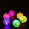 Squeaky Sound Puppy Fun Dog Rubber Toys Pet LED Light Ball