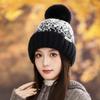 Autumn and Winter Windproof Thickened Thick Thread Wool Hat Knitted Hat Jacquard Warm Ear Hat Women's Outdoor Travel