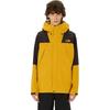 THE NORTH FACE Mountain Jacket Men's Black/Ginger Yellow NP12503-TK