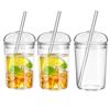 3 Pack Glass Coffee Cups with Lids and Straws, 16 Oz Iced Coffee Cup with Dome Lids, Clear Glass Coffee Cups Set for DIY