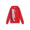 Puma Повседневный кардиган с капюшоном на молнии с длинным рукавом, мужская толстовка красного цвета 577648-12