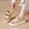 Cool Slippers Women's Summer Wear 2025 New Fashionable Versatile Comfortable Platform French with Skirt Beach Sandals