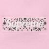 Supreme 19FW Bandana Box Hoodie 'Pink' Men's SUP-FW19-10831
