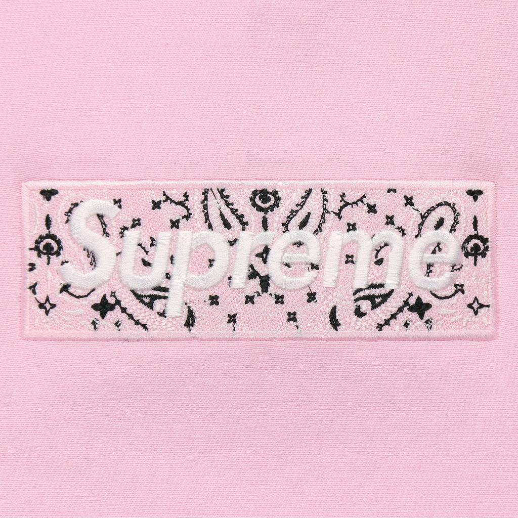 Supreme 19FW Bandana Box Hoodie 'Pink' Men's SUP-FW19-10831