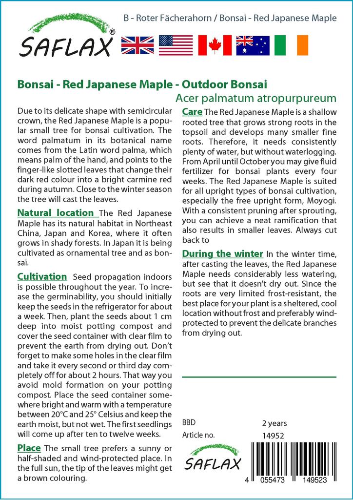 SAFLAX Garden in the Bag - Бонсай - Красный японский клен - 20 семян - С субстратом в подходящем мешке - Acer palmatum