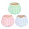 INOOMP Ceramic Mini Succulent Plant Pumpkin with Drainage Window Interior Decor Pots, Design, Holes, 3-Piece Set, Bonsai, Decoration,