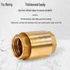 Brass Vertical Check Valve with Dual Female Thread