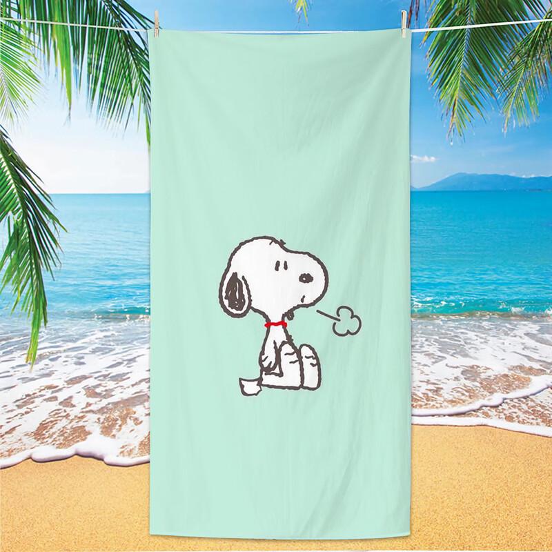 Snoopy Absorbent Printed Beach Towel 2-Piece Set