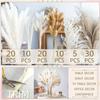 95Pcs Natural Dried Pampas Grass Bouquet for Home Decor Vase Filler Fluffy Dried Fall Pampas for Table Decor Wedding Decor Rustic Decor