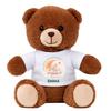Peluche Ourson - PLANETEE - Ours Bébé Nunours - 18 Cm - Toucher Moelleux - T-shirt Imprimé