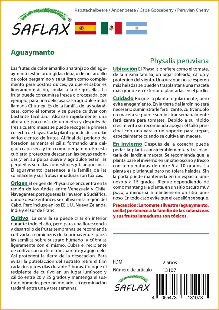 SAFLAX Капский крыжовник / Перуанская вишня - 100 семян - Physalis peruviana