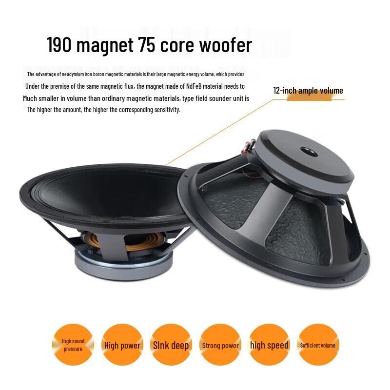 SHILE BM-12 12-дюймовые профессиональные сценические колонки (Пара)