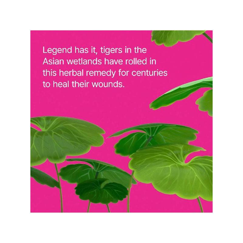 Dr.Jart+ Сыворотка для лица с тонирующим эффектом Tiger Grass Camo Drops 30 мл. SPF 35 с центеллой азиатской | CC-крем | Корейский уход за кожей