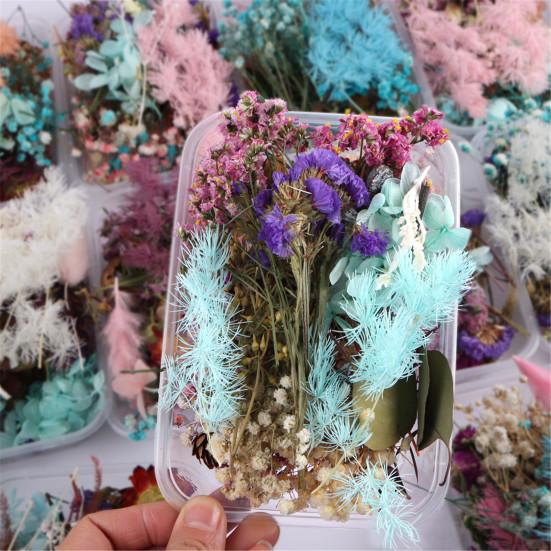 Real Dried Flower Material Plant Specimen Making Scrapbook Crafts Accessories