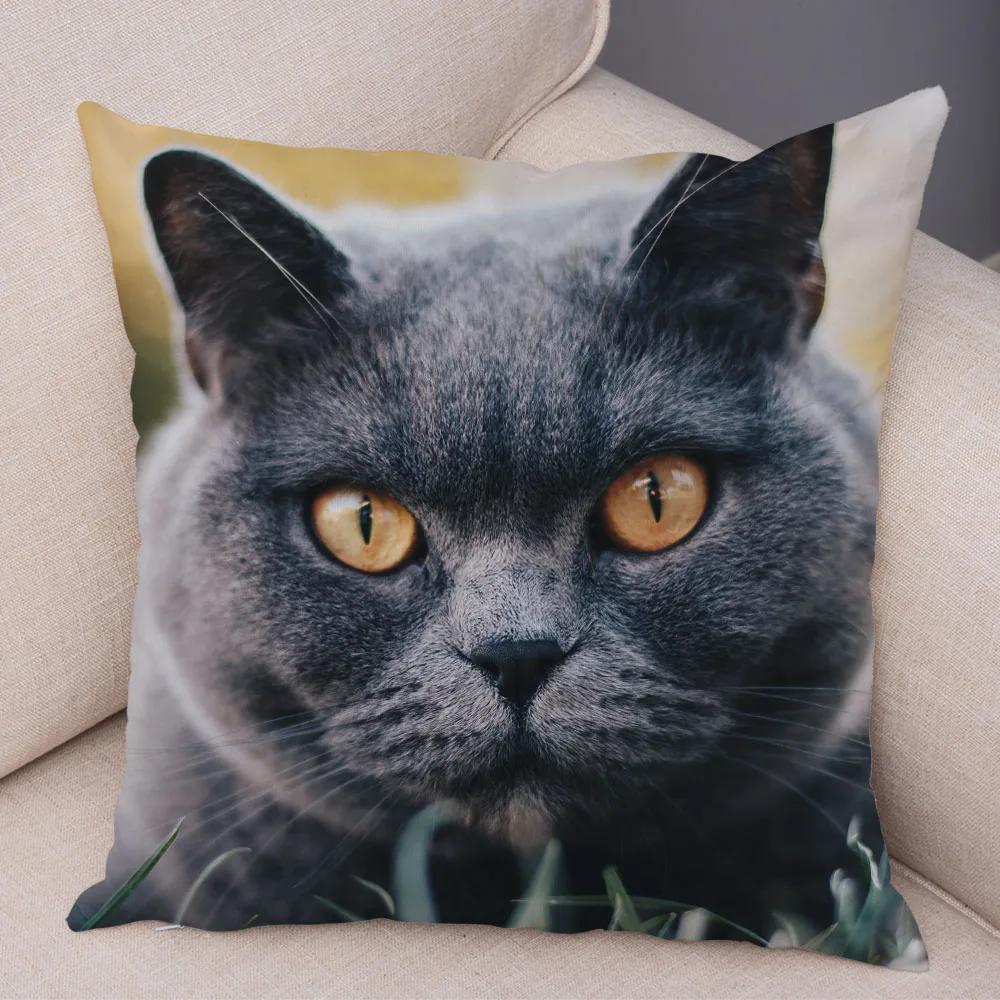 Русская голубая Британская короткошерстная Наволочка Декор Милый кот Домашнее животное Животное Наволочка Мягкий плюшевый Чехол для подушки для машины Дивана Дома