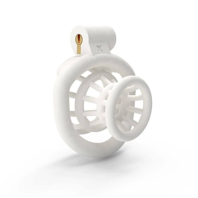 2025 New Male Negative Chastity Cage 4 Colors Cock Cage Abstinence Control Sissy Penis Lock with 4 Size Rings Adult Products