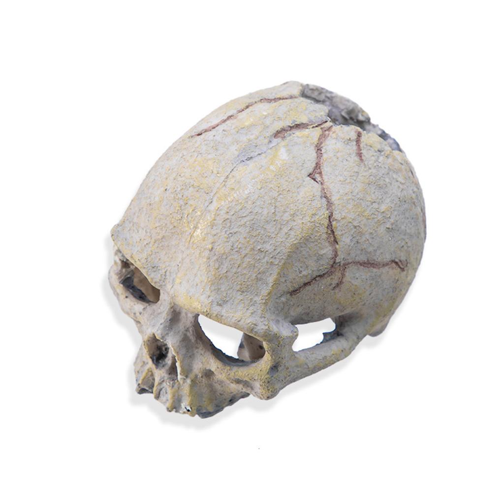 Смола Фигурка Черепа Укрытия и Пещеры для Рептилий Аксессуары для Аквариума Террариума для Леопардового Геккона Бородатой Агамы Шарового Питона