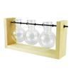 Hydroponic Vase Simple Decorative Glass Flower Vase Plant Terrarium with Wooden Stand