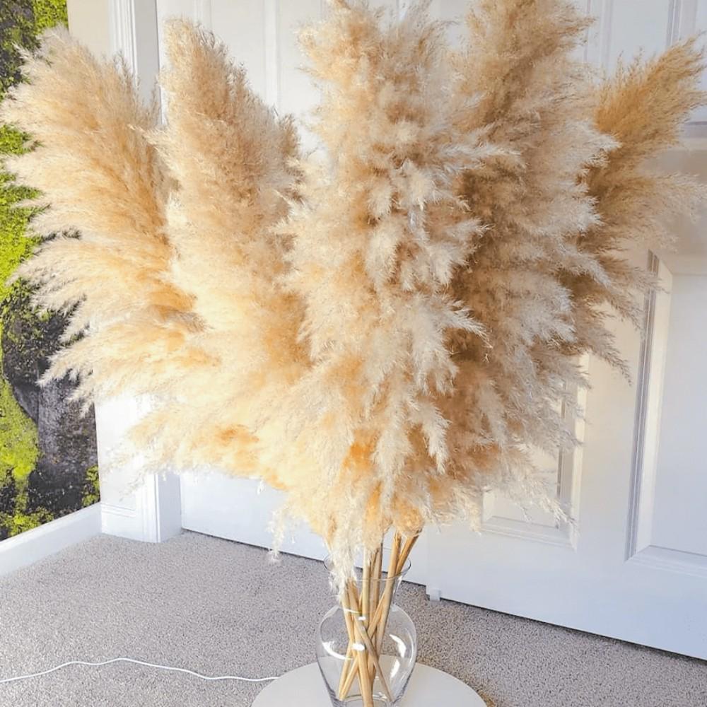 Reed Grass Natural Dried Flowers - Home Decor Preserved Ornaments